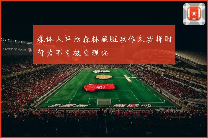 媒体人评论森林狼脏动作文班挥肘行为不可被合理化
